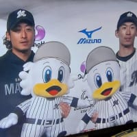 セ・パ交流戦始まりました。