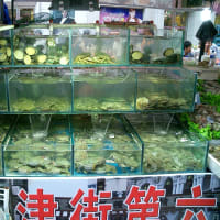 大連　　天津街のグルメ祭り