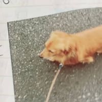 こんばんは😊
