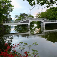 6月の北海道