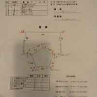 第13回春季小学生ソフトボール大会について