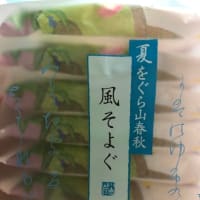 今日も雨が・・・