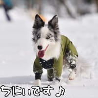 なに目指す？🤭