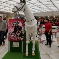 馬が難波ウォークに居たよ