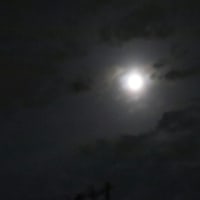 満月に叢雲かかる文月の夜