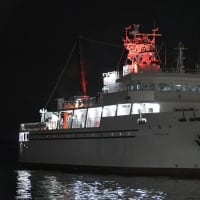 ここ数日の、夜な夜なウロウロドライブ、、、