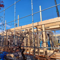 建前総桧造りの家