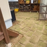 芝生張り