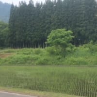 尾瀬・裏磐梯・只見線の旅　-10 　・・・　Tadami Line　②