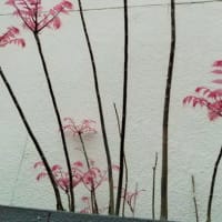 チャンチン・フラミンゴ