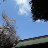 桜の咲く時期はお天気が不安定ですね…(-＿-)ｳｰﾑ　そして気になる地震…