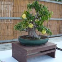 名古屋城本丸御殿