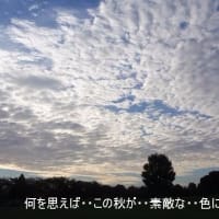 秋に