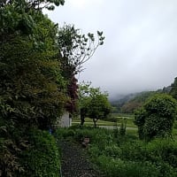 さわやか5月