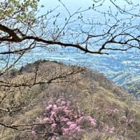 おおさる山乃家～茶の木畑山