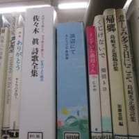 神奈川近代美術館鎌倉別館で「重力と素材のための図鑑」展をみて