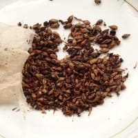 オーサワジャパンの オーサワの有機麦茶(国産) ～6月の新
