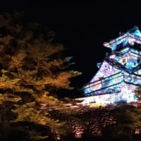 高知城のマッピング