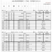 AIFA 第4回津留建設リーグ2025　知多地区大会 U-11　1部試合日程