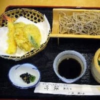天麩羅そば（十割そば）