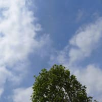 今日の空・・・