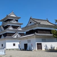 80回ふうちゃんのお城ブログ　元気な桃と出会うたび