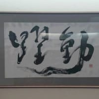 展示会
