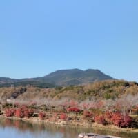 恵那峡の紅葉