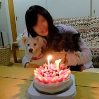 祝１７歳！