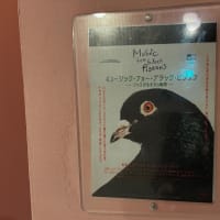 「ミュージック・フォー・ブラック・ピジョン」を観て。