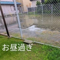 ママ譲り