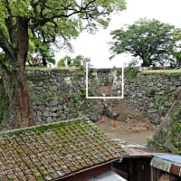 八代城 肥後　本丸周囲の高い石垣と幅広の堀を堪能　東海古城研究会の見学会に参加