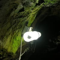 滋賀　河内の風穴