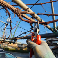 2025年1月の管理作業