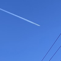 行けなかった中東。。。