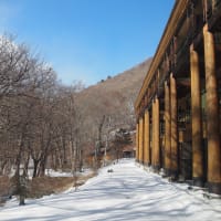 旅の思い出＊中禅寺湖・金谷ホテルの天然かけ流し温泉♨️
