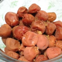 梅干しづくり完成へ。
