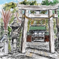 「神山診療所」が人類を救う