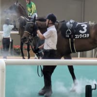 愛馬コンクイスタ天保山Sオープン特別優勝！！