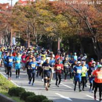 福岡マラソン２０１９