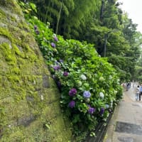東京の福島鍼灸院