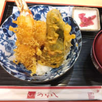 天ぷら　つな八