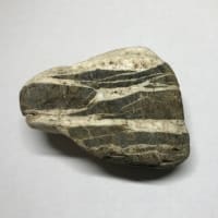 石を拾ってくるのはいいかげんによそう（３）
