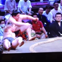 5/22 投稿　炎鵬作戦負け