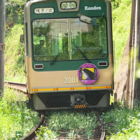 紫になった姿はまだ見てません（苦笑） 京福電気鉄道モボ2001形