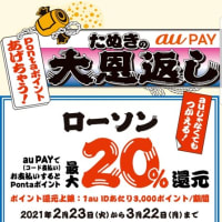 ポイ活　au Pay ★その22