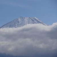 富士五湖めぐり