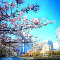 SNSで話題のアレンジケーキ♪