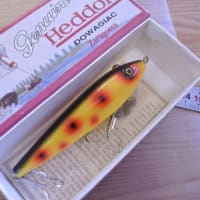 復刻 ザラゴッサ　新品 SO　グラスアイ