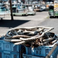 静かな漁港-和歌山県和歌山市：雑賀崎
